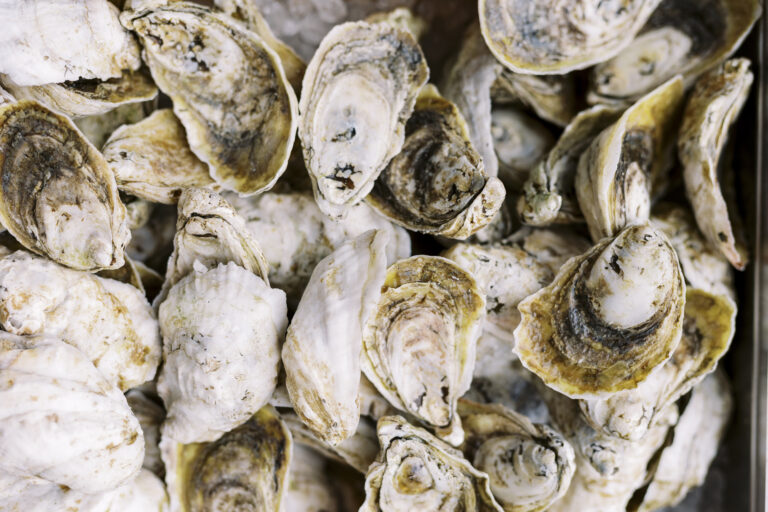 Oyster + Bubbles Wednesdays